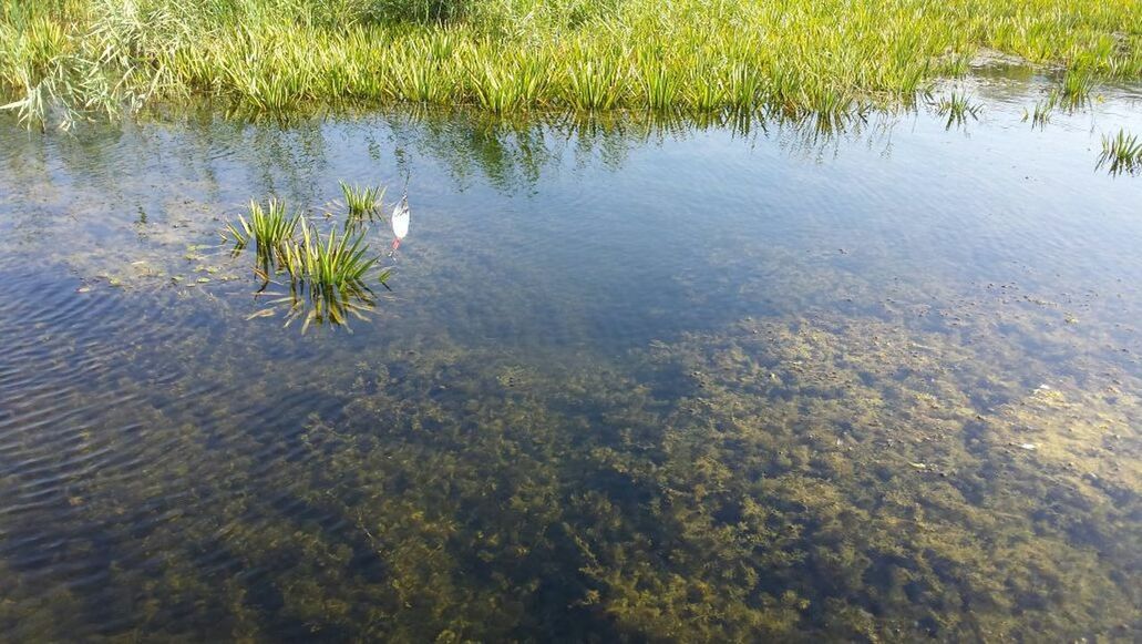 TRANQUIL SCENE OF LAKE