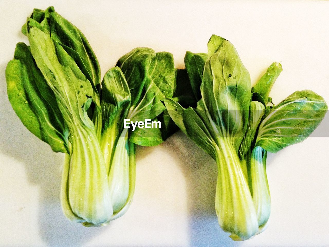 Close-up of chinese cabbage on table