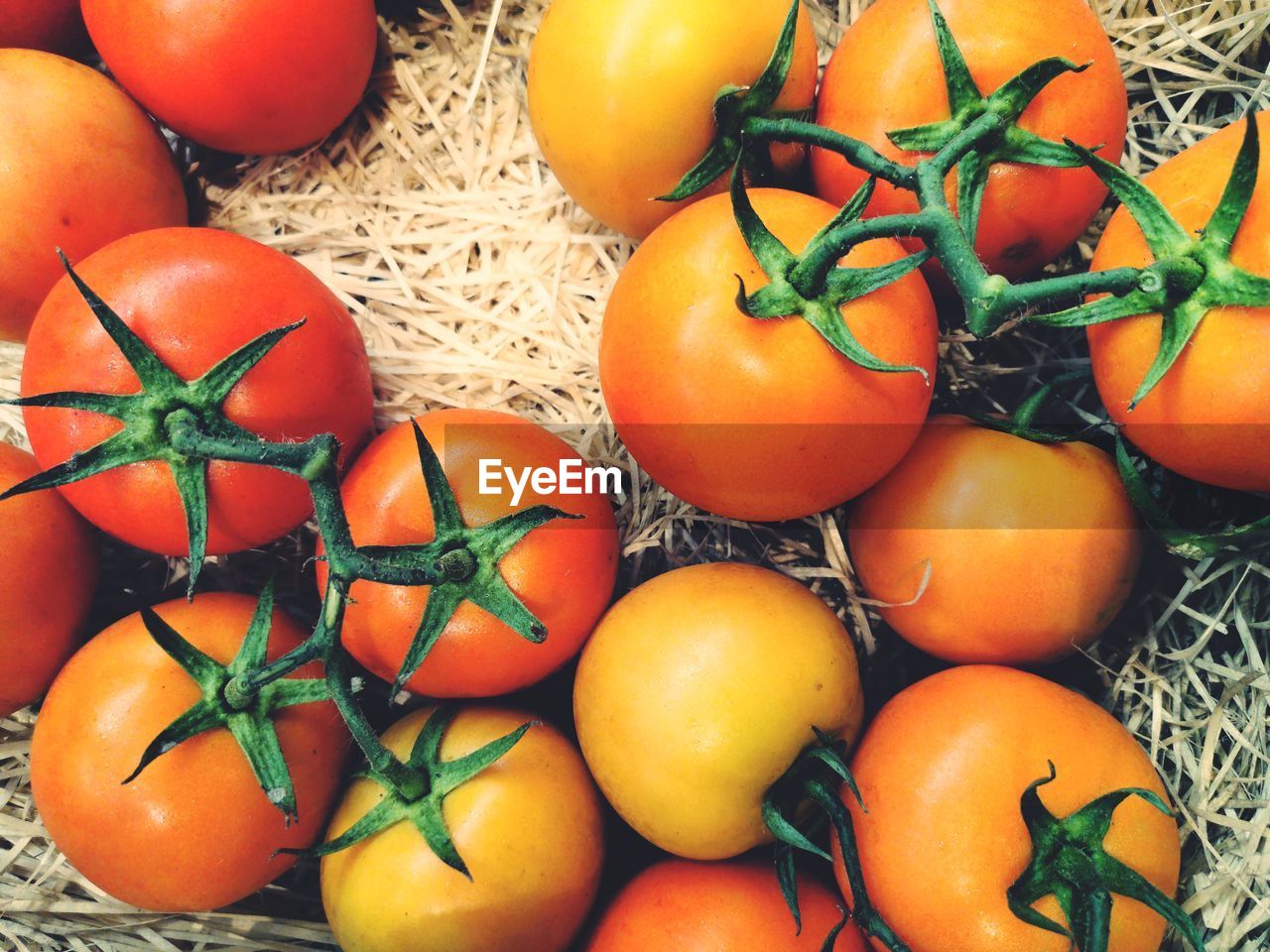 HIGH ANGLE VIEW OF TOMATOES AND FRUITS ON TABLE
