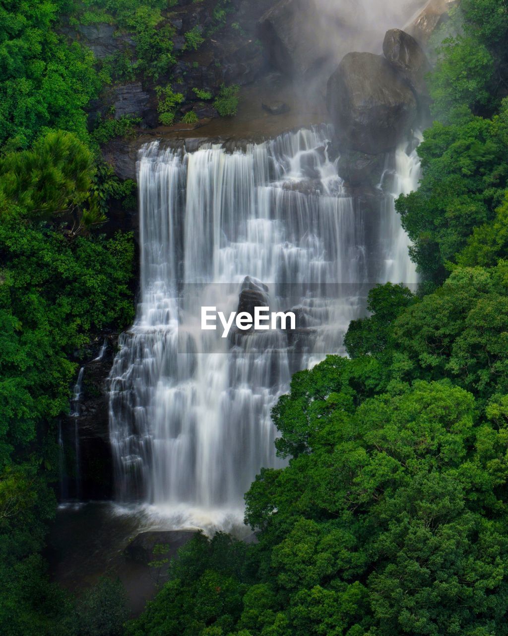 SCENIC VIEW OF WATERFALL IN TREES