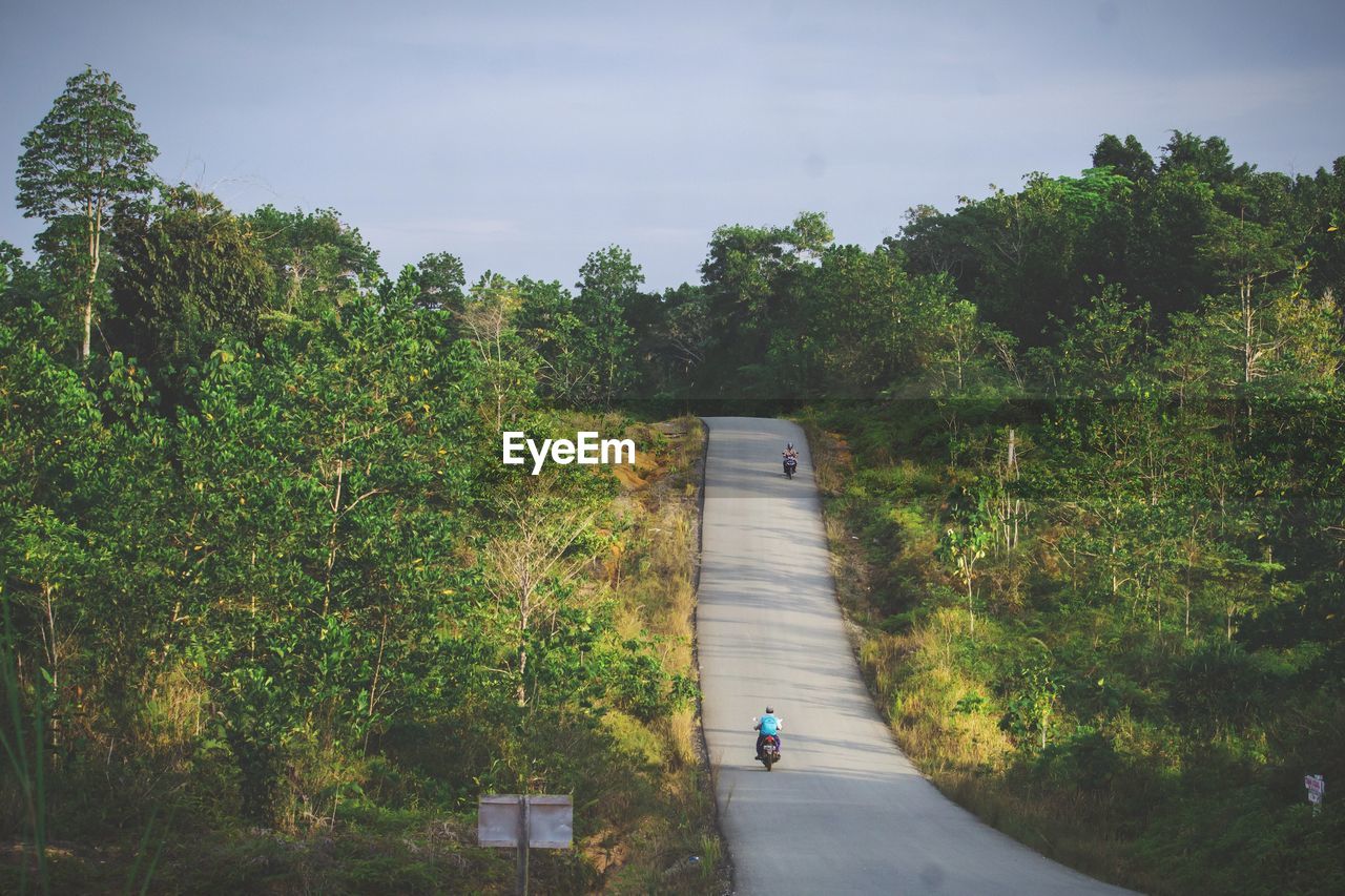 Rear view of people walking on road amidst trees against sky