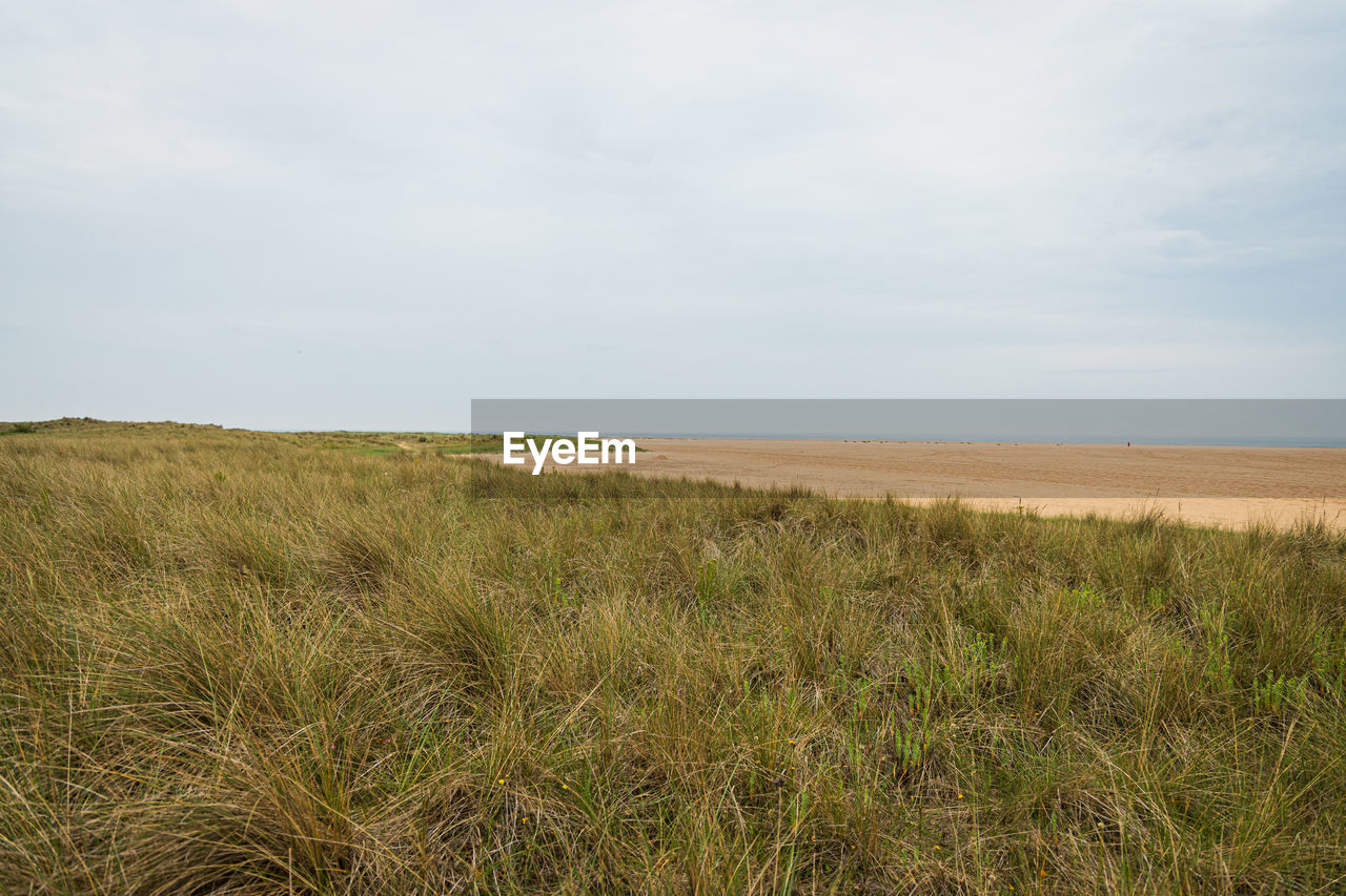 Empty beach along the norfolk coast