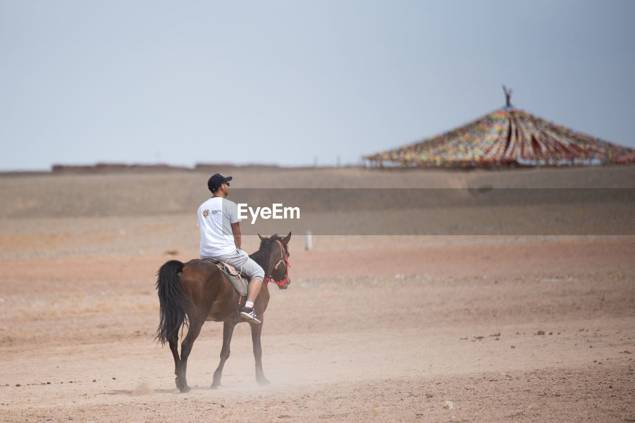 REAR VIEW OF MAN RIDING HORSE ON SHORE