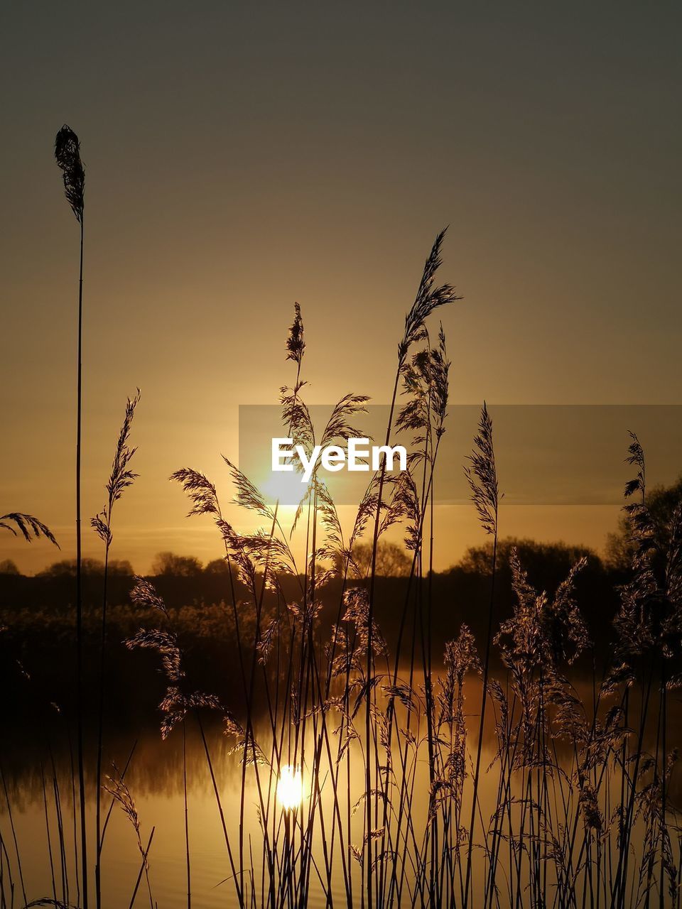 SCENIC VIEW OF SUNSET OVER LAKE