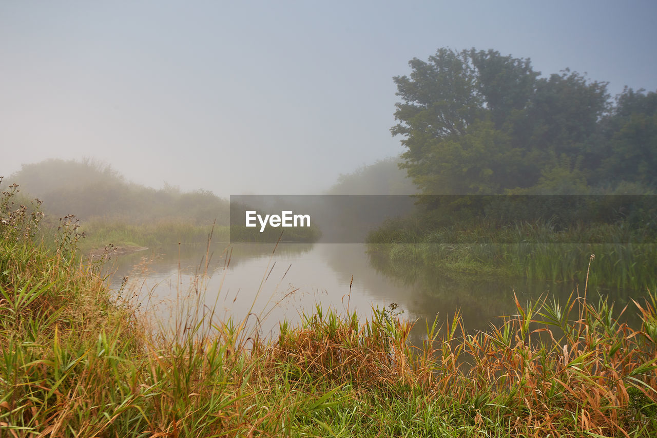 SCENIC VIEW OF LAKE BY TREES AGAINST SKY