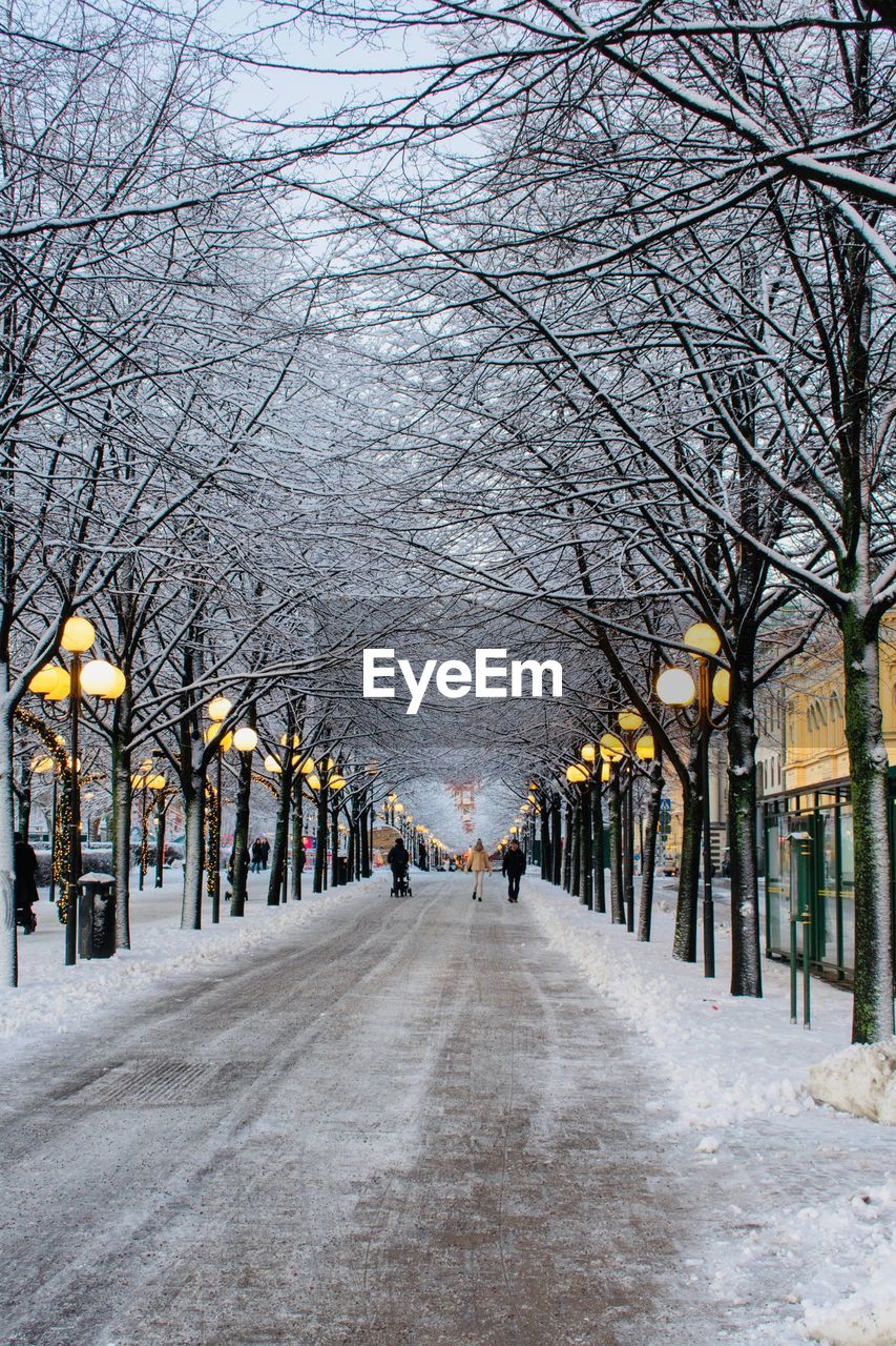 STREET AMIDST TREES DURING WINTER