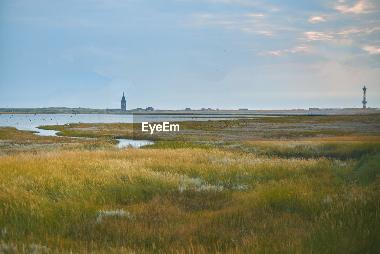 Scenic view of marshland with lighthouse at the coast of the north sea island wangerooge in germany