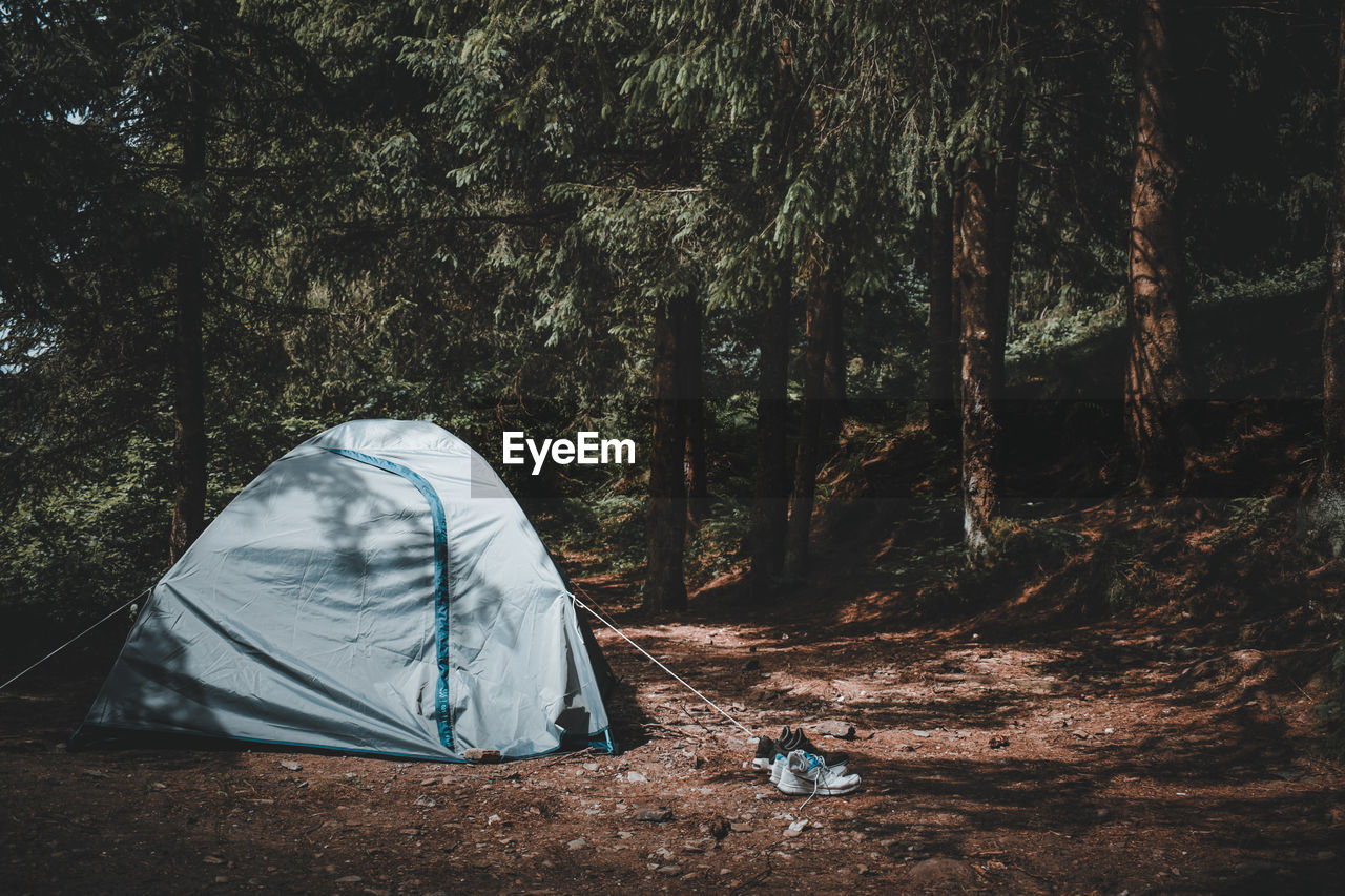 VIEW OF TENT AGAINST TREES IN THE FOREST