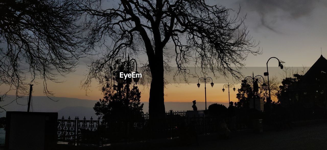 Silhouette trees against sky during sunset