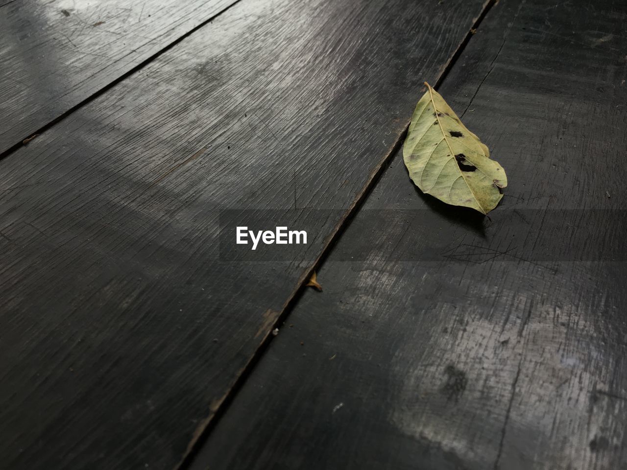 HIGH ANGLE VIEW OF WOOD ON WOODEN FLOOR