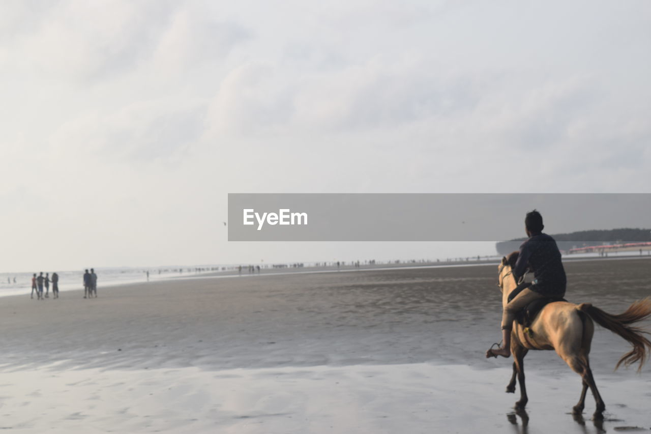 Man riding horse on beach against sky