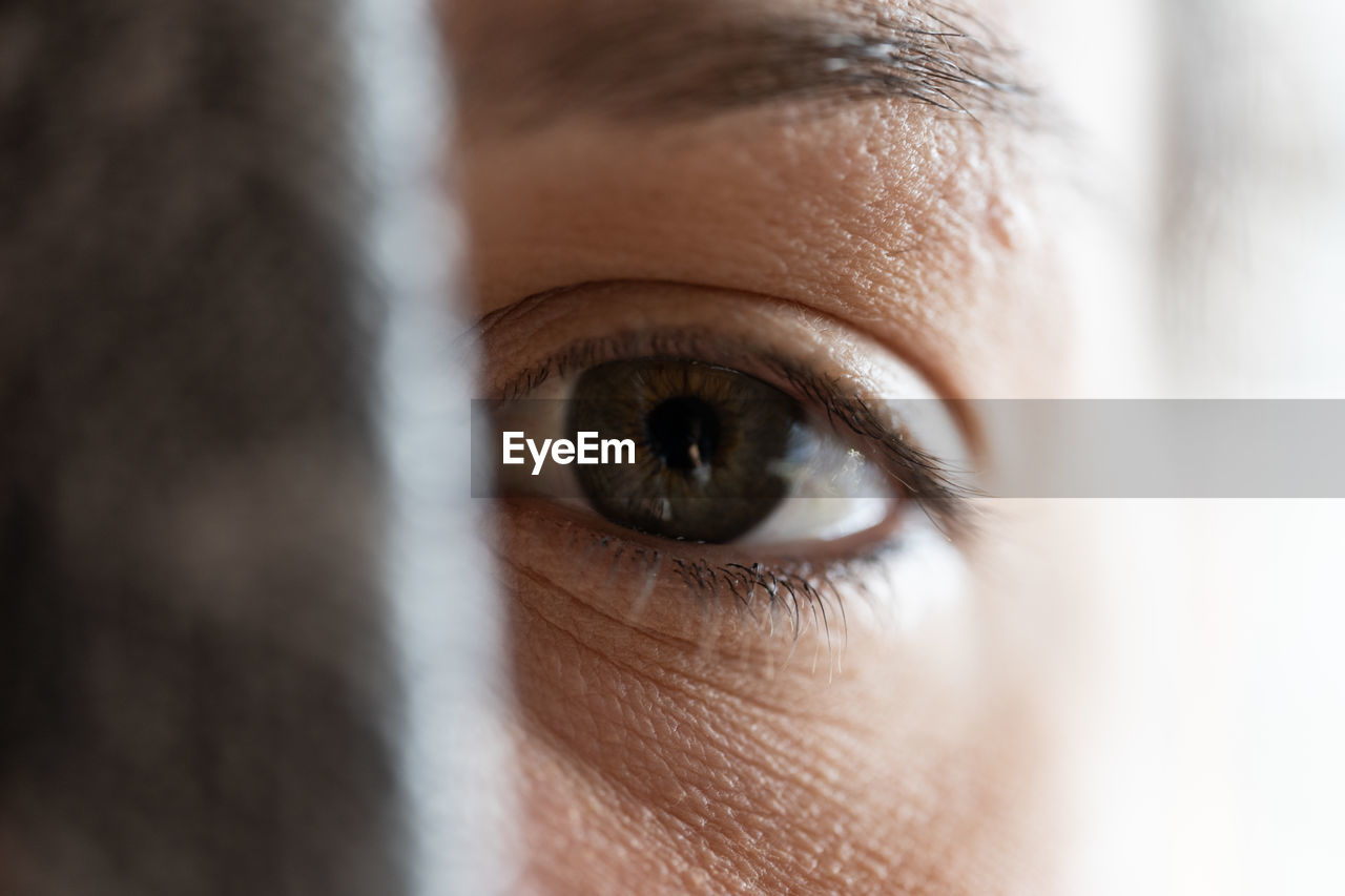 Close-up portrait of woman eye