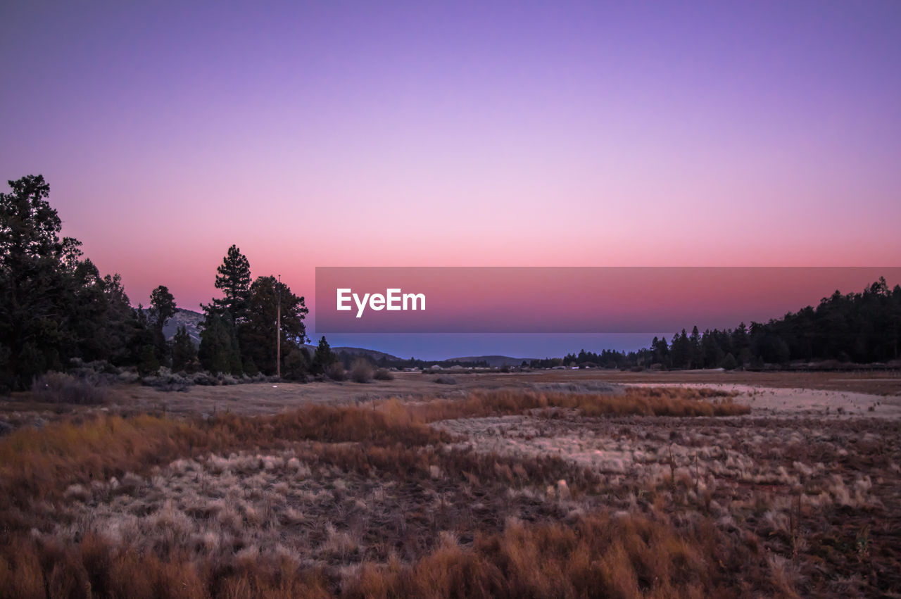 Scenic view of landscape against clear sky