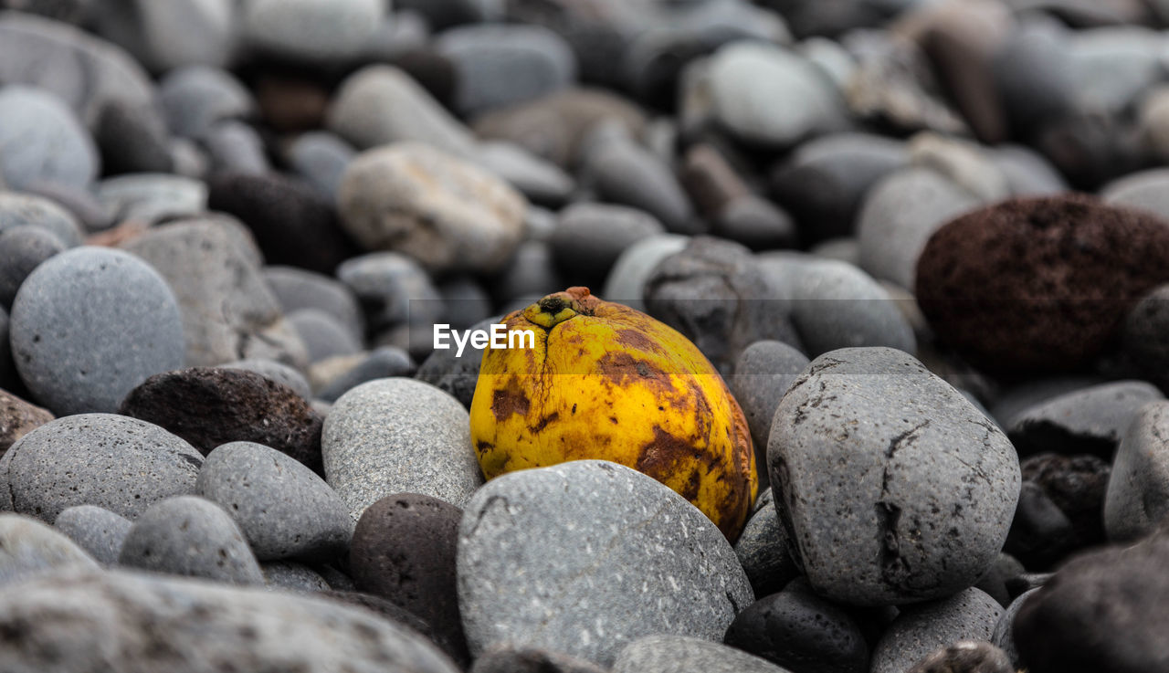 Close-up of fruits amidst pebbles