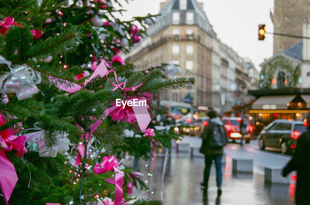 Close[-up of christmas tree by street in city 