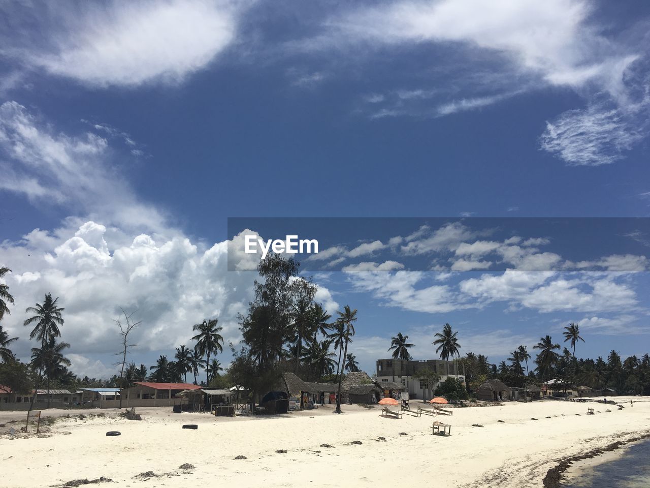 PANORAMIC SHOT OF TREES ON LAND AGAINST SKY