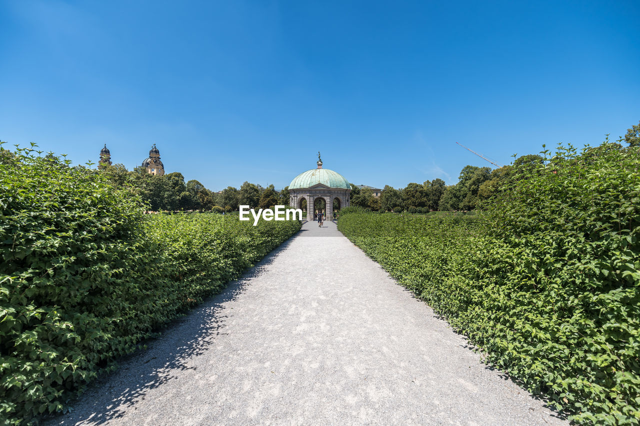 FOOTPATH AMIDST TREES AGAINST CLEAR SKY