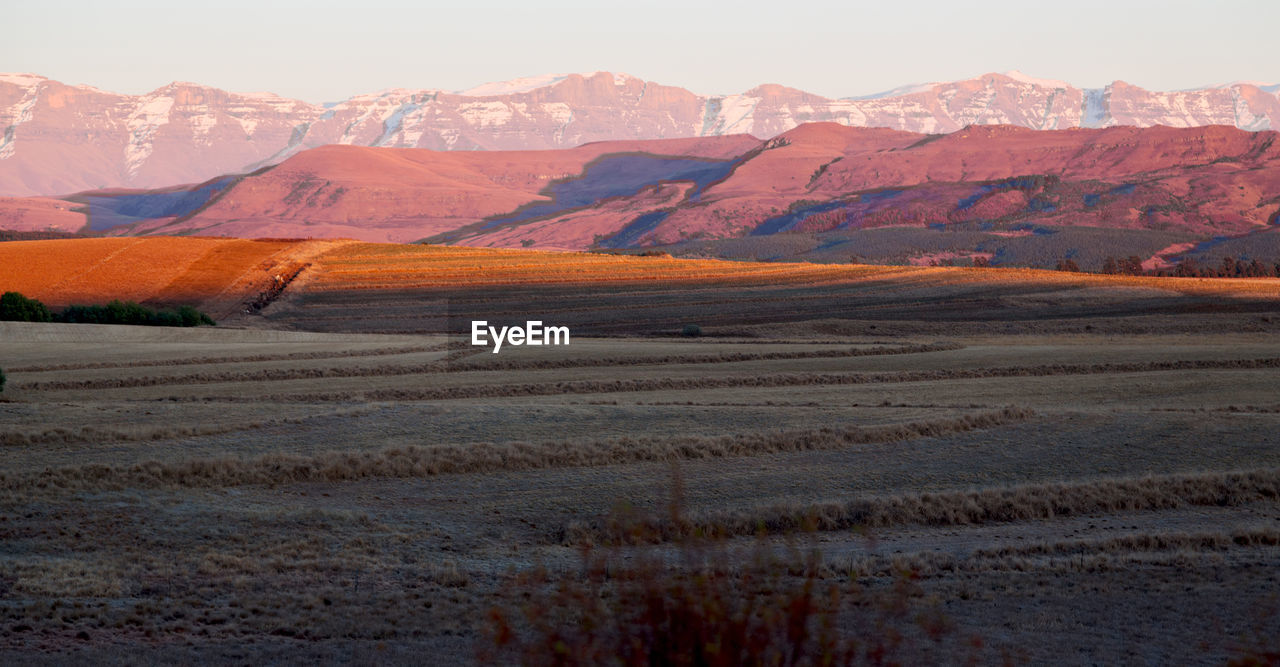 Scenic view of desert against sky