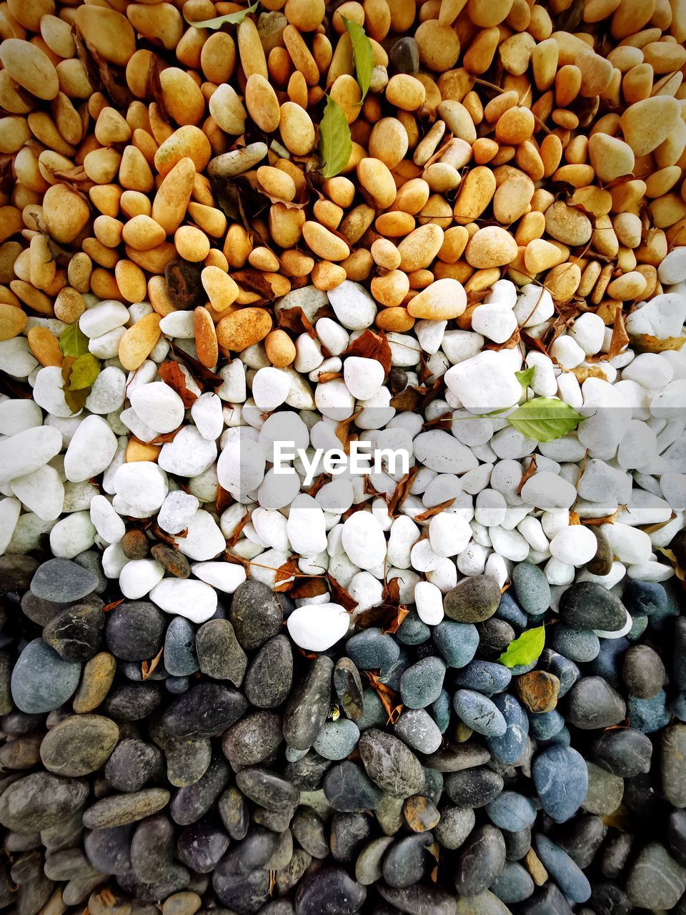 HIGH ANGLE VIEW OF PEBBLES ON ROCKS