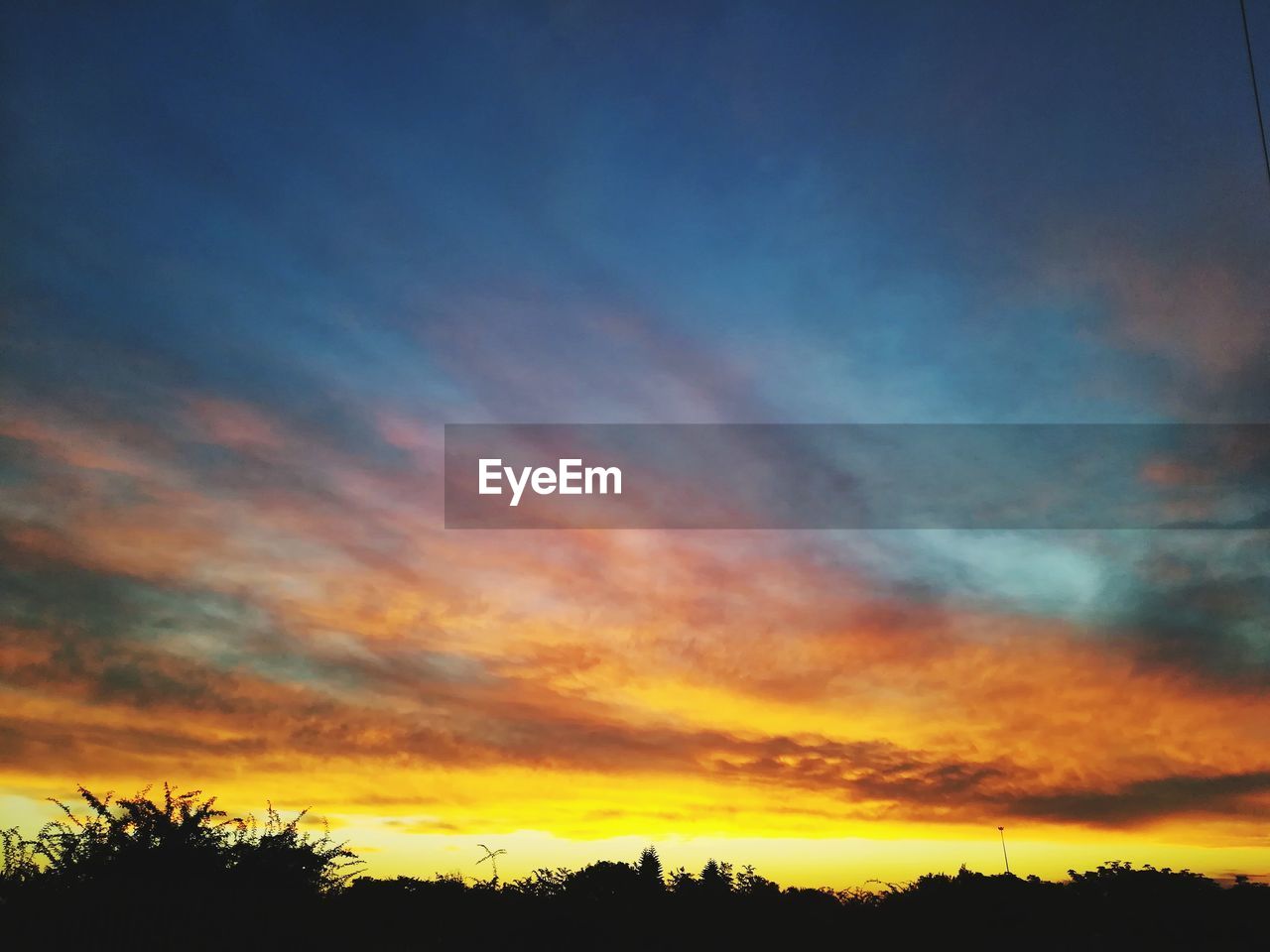 LOW ANGLE VIEW OF SILHOUETTE TREES AGAINST DRAMATIC SKY DURING SUNSET