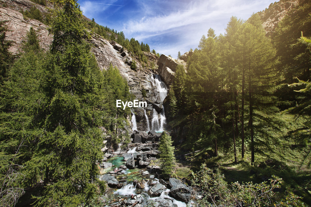 WATERFALL IN FOREST