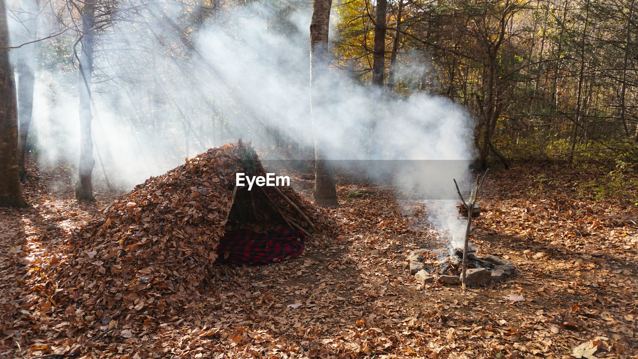 Bushcraft survival shelter in the wilderness. campsite and campfire in the woods.