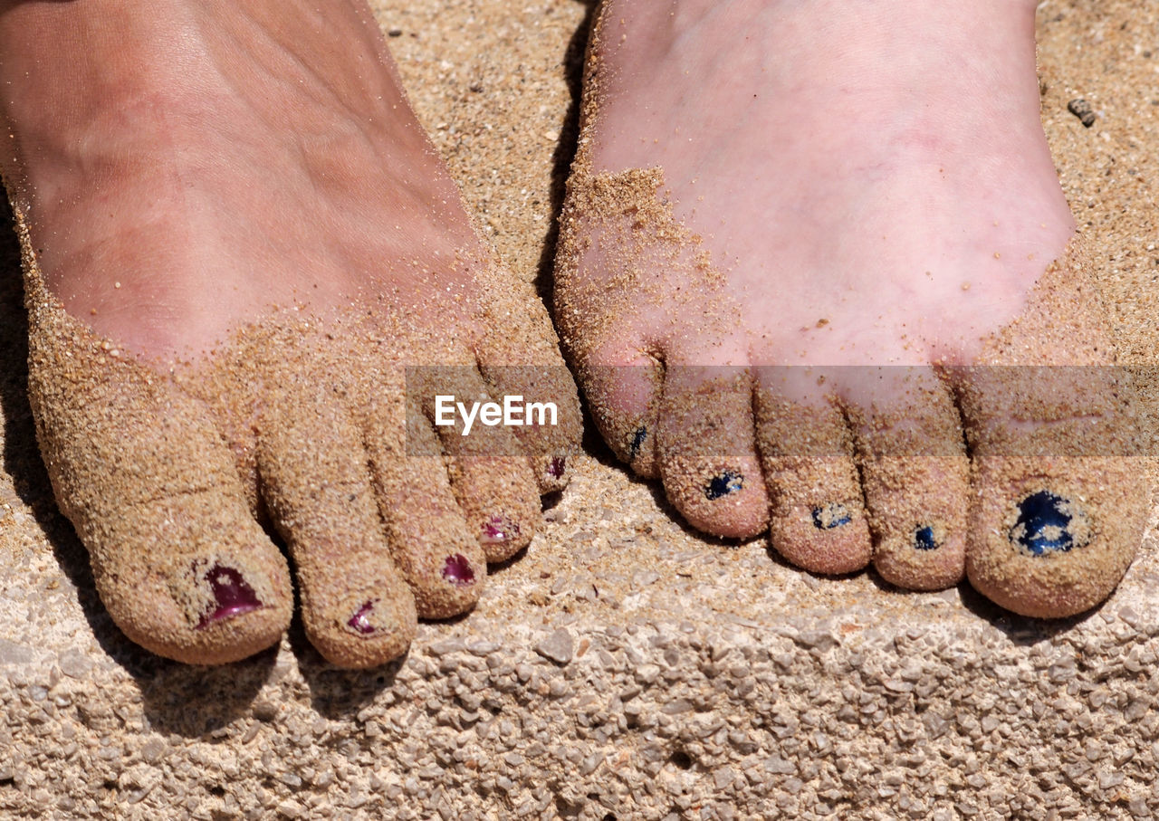 Low section of two women standing on sand