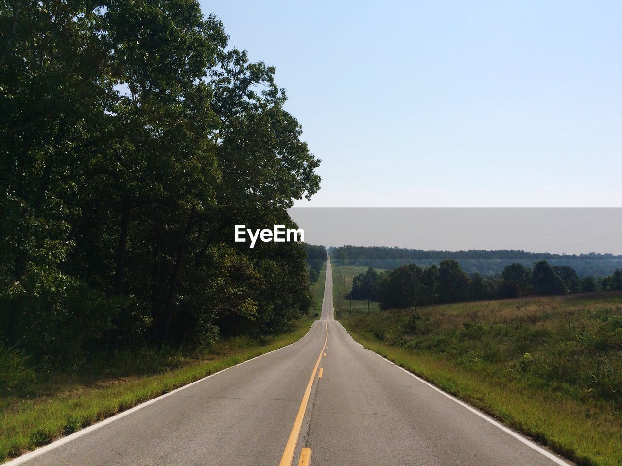 Empty road along trees