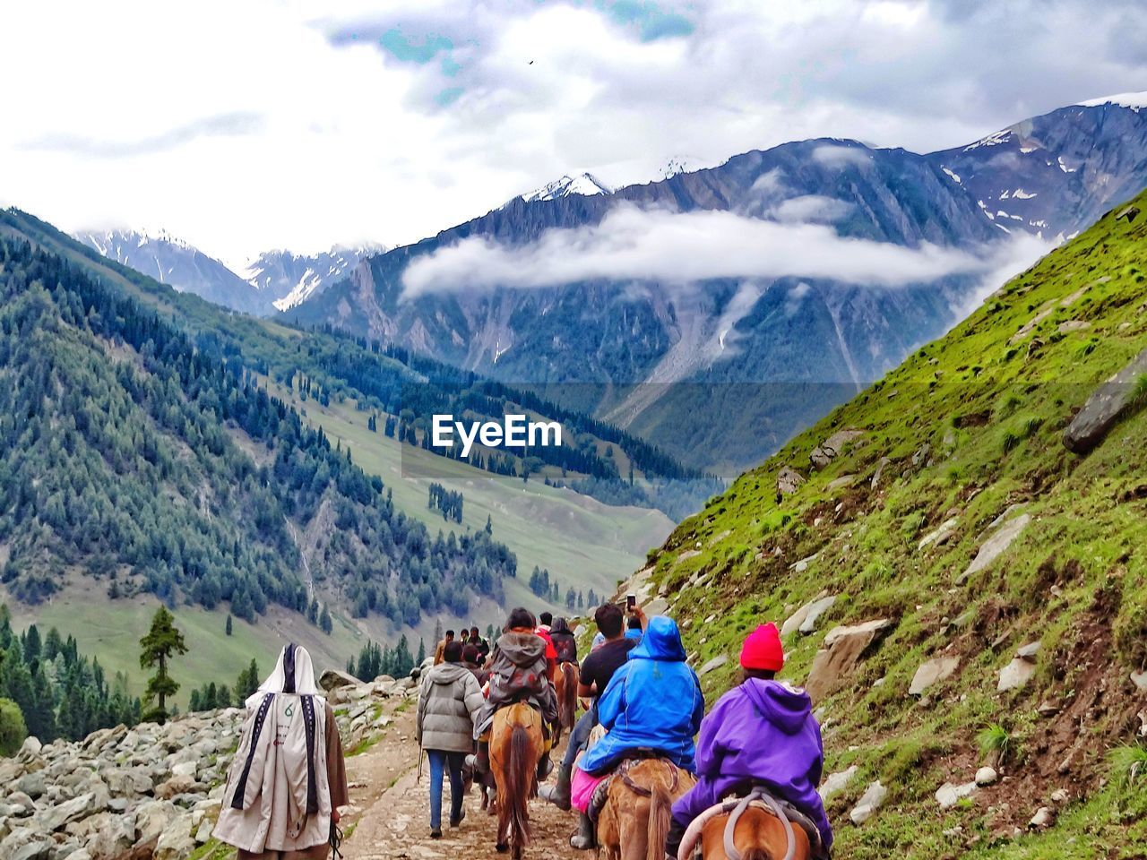 Rear view of people riding horses on mountain