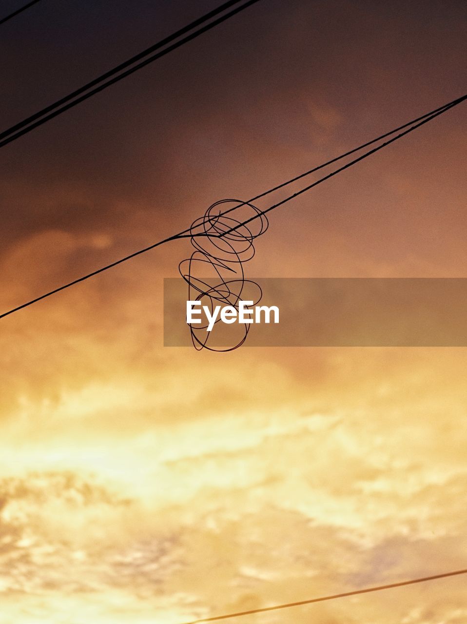 Electricity wires in the evening sky