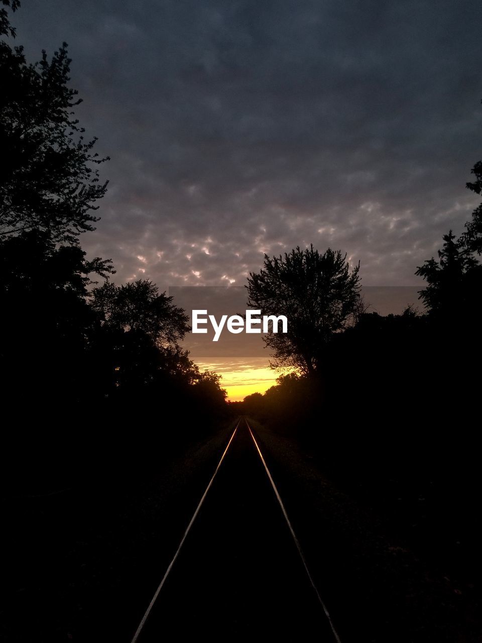 SILHOUETTE TREES BY RAILROAD TRACKS AGAINST SKY DURING SUNSET