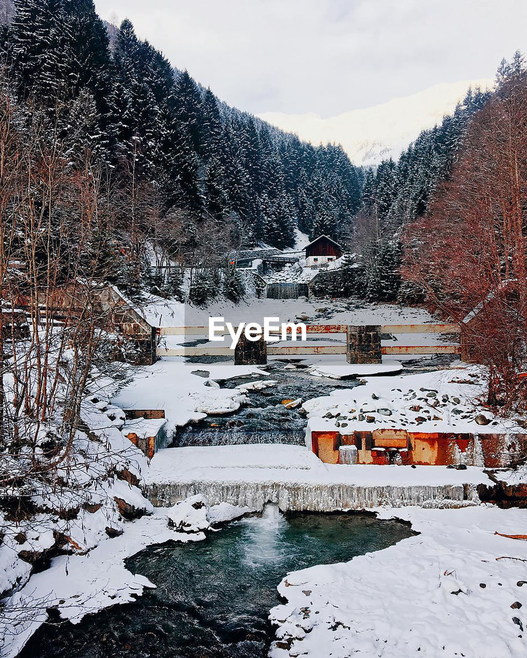 Snow covered plants and buildings against mountain