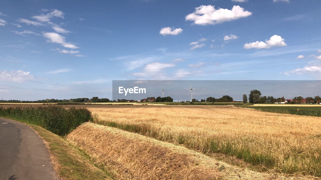 SCENIC VIEW OF AGRICULTURAL LANDSCAPE AGAINST SKY