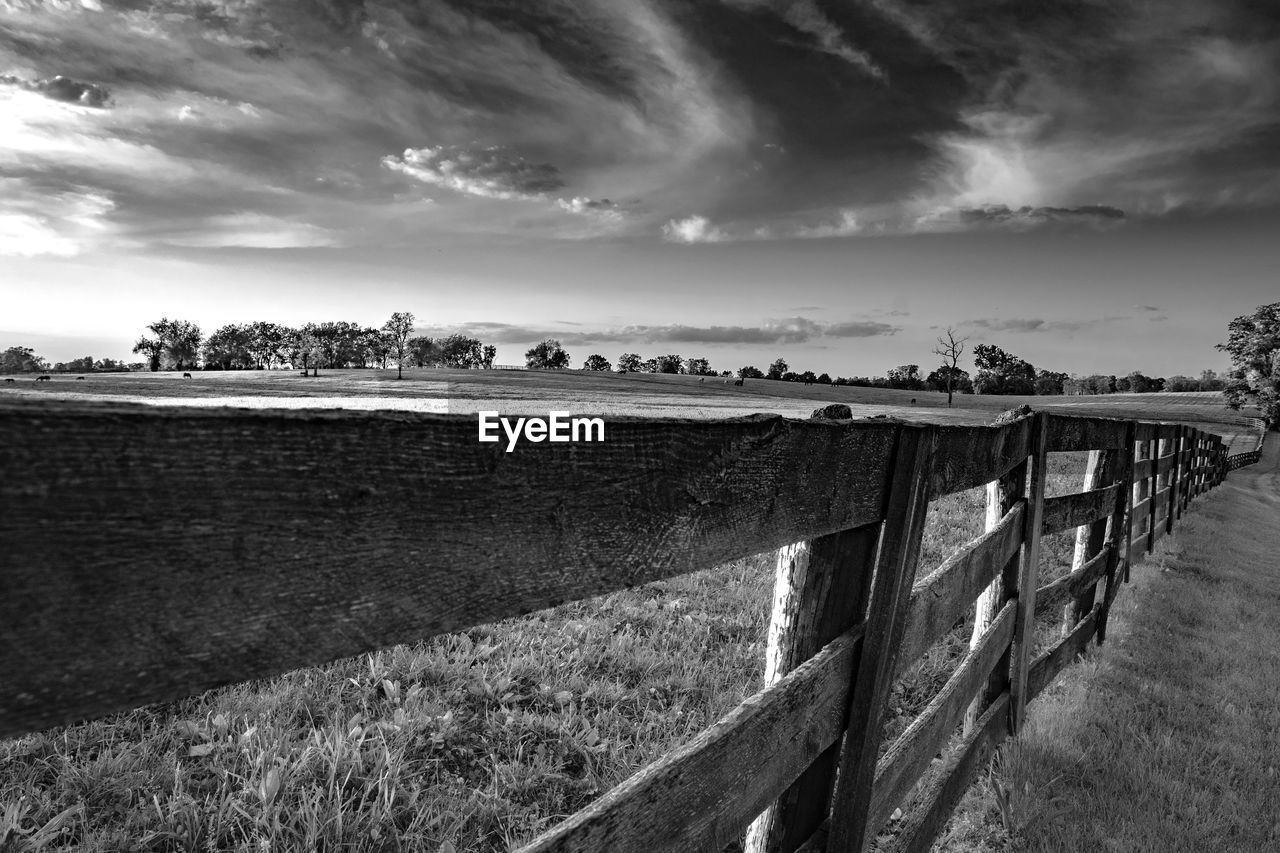 Weathered wooden rail fence seen at vanishing perspective in a lush bluegrass horse pasture.