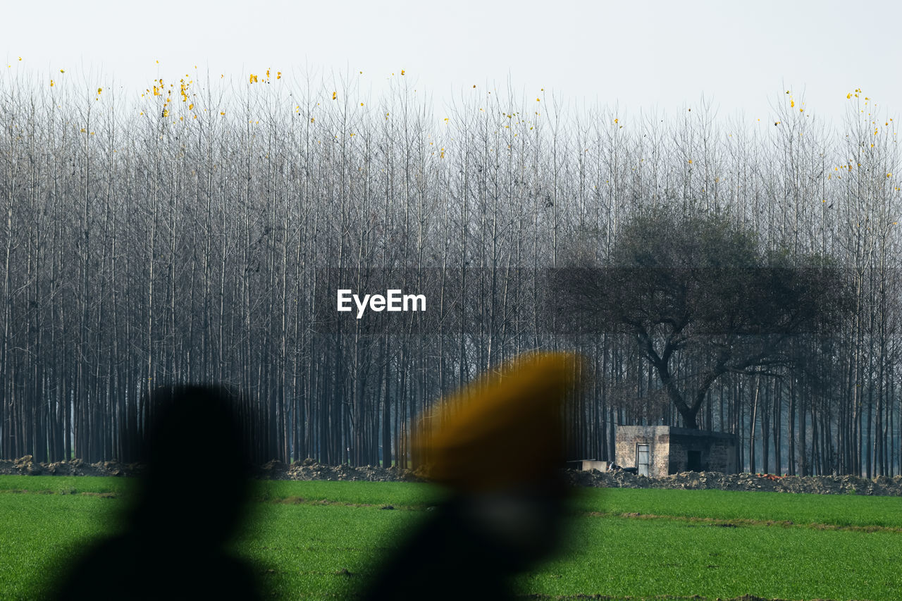 LOW SECTION OF PERSON ON GRASS AGAINST SKY