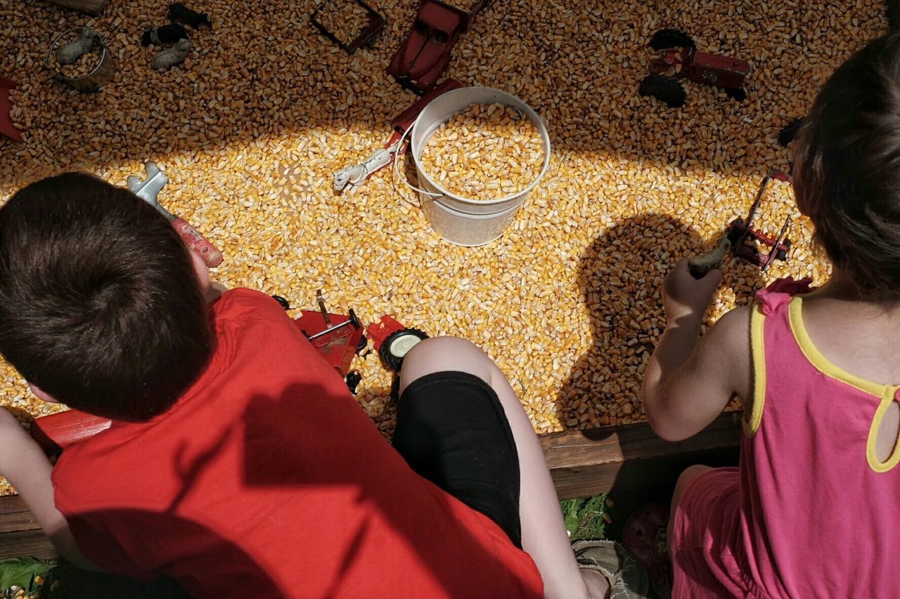 High angle view of children playing with corn
