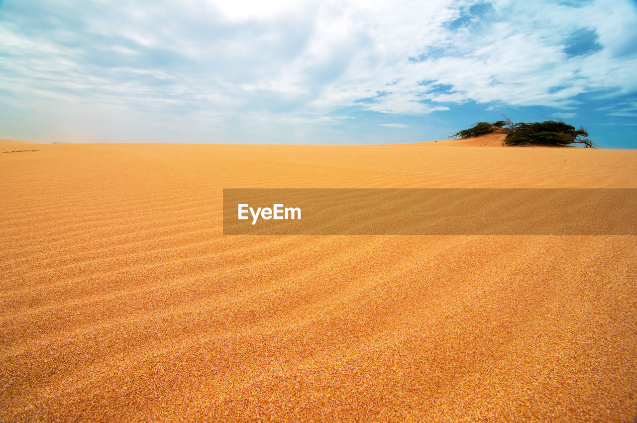 Scenic view of desert against sky