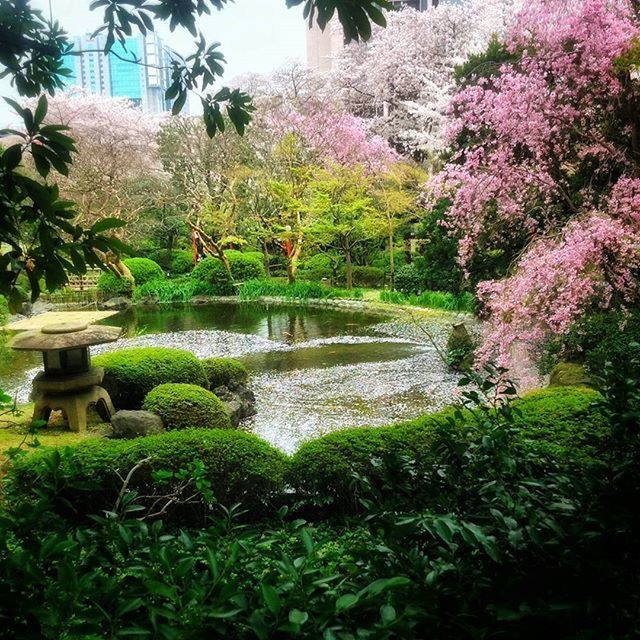 VIEW OF POND