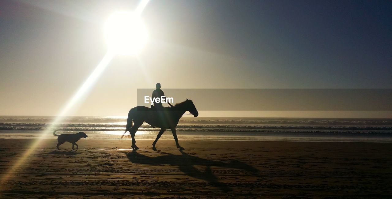 Man riding horse at beach