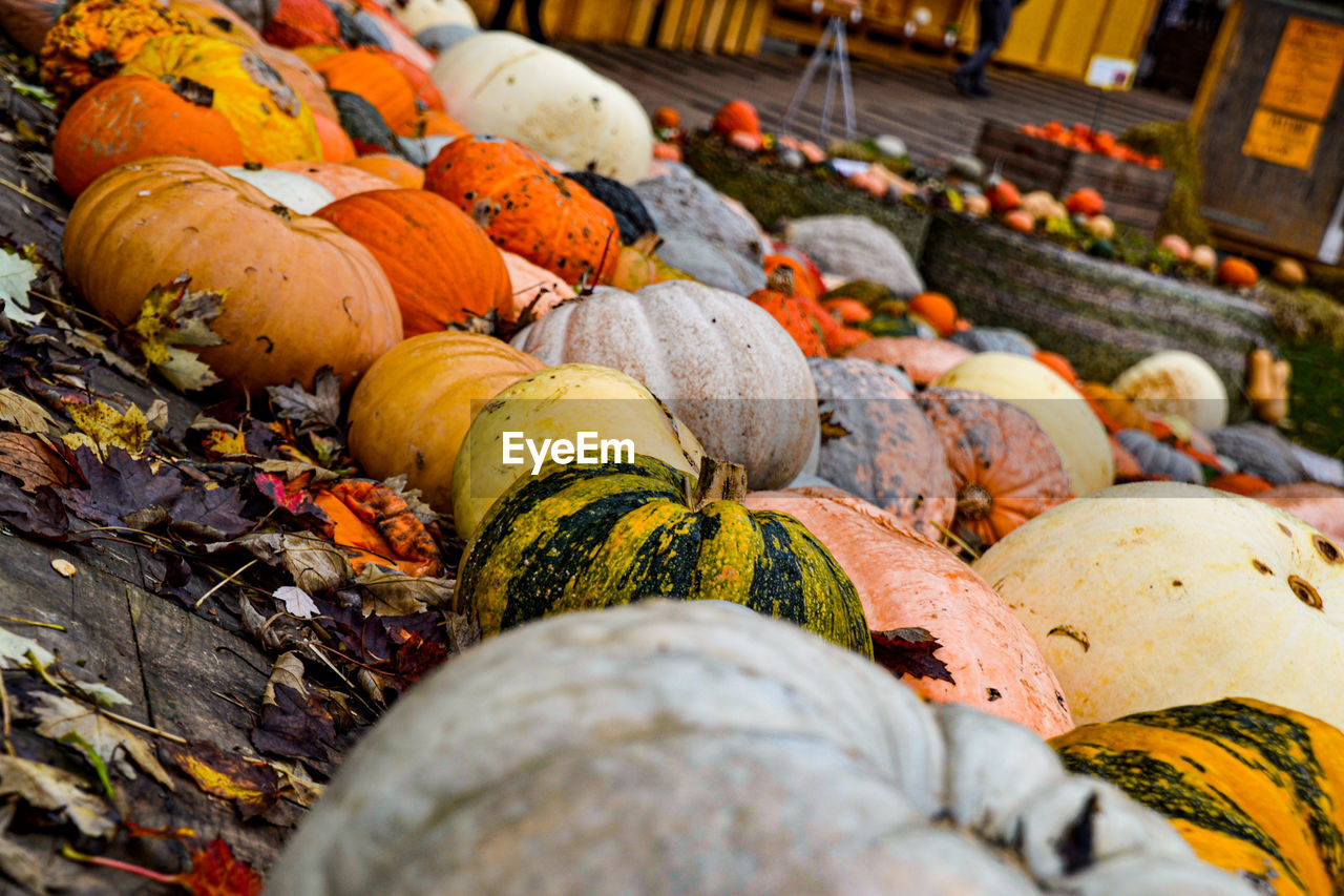 Close-up of pumpkins in market during autumn