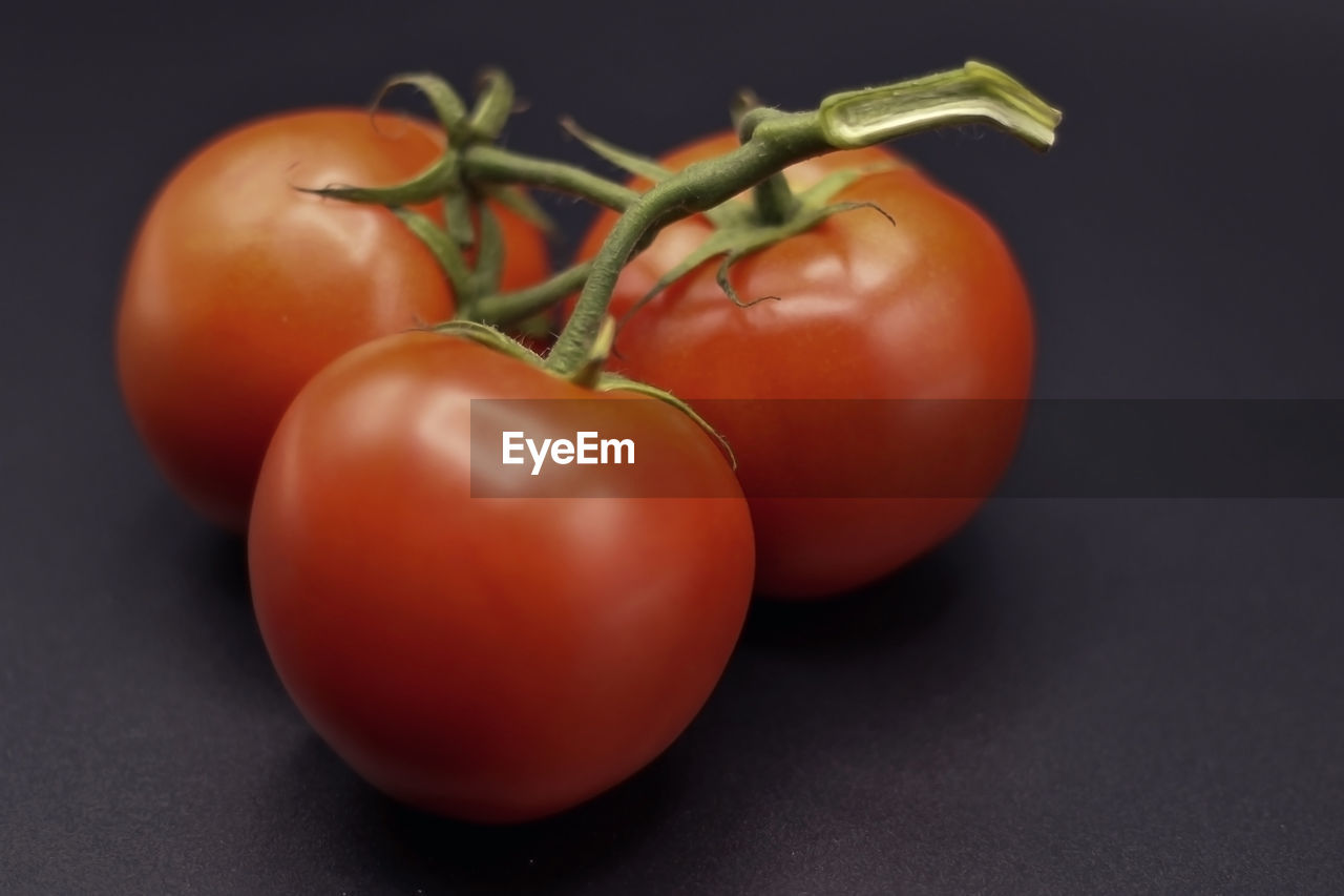 CLOSE-UP OF TOMATOES GROWING ON PLANT