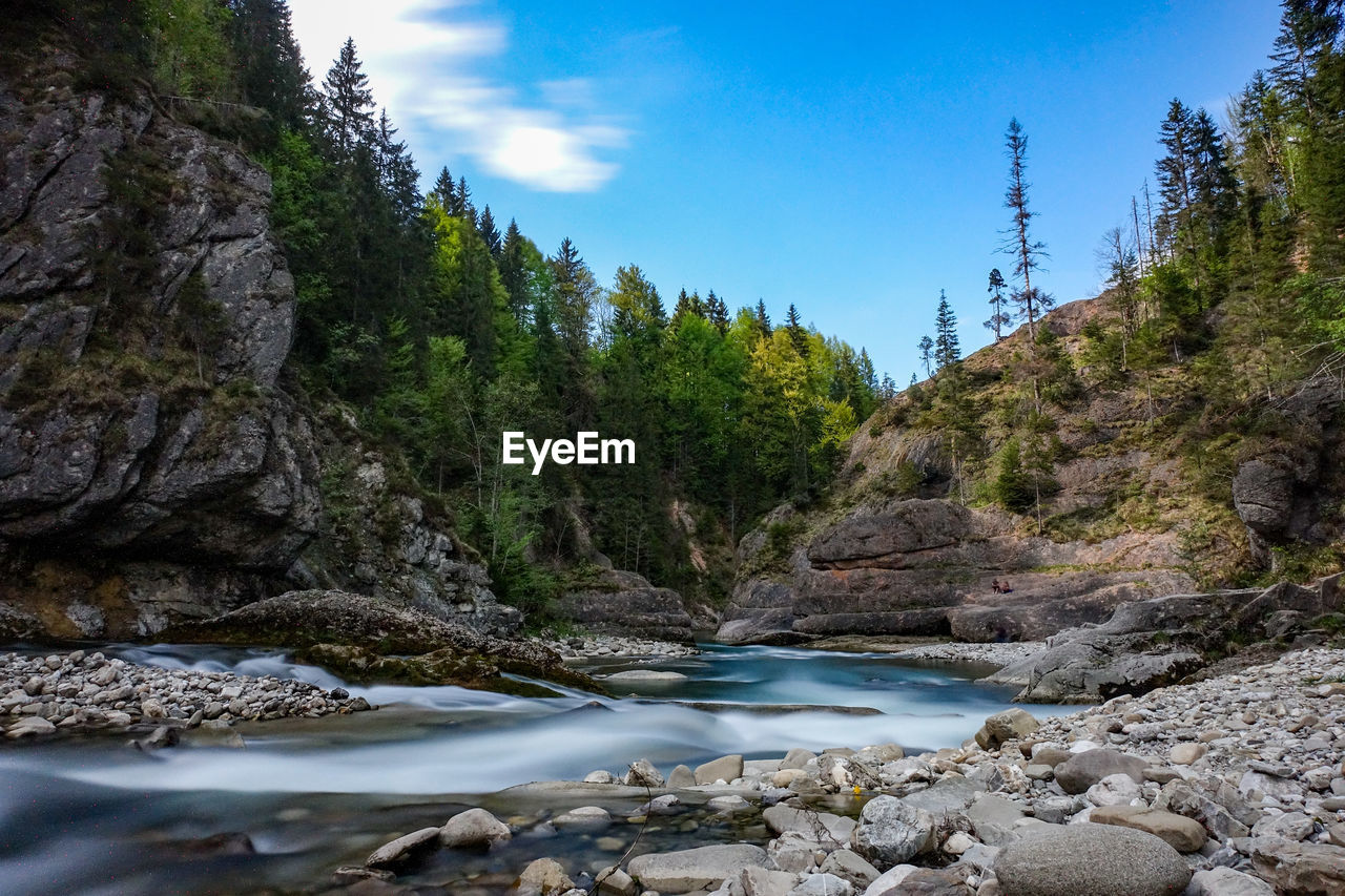 River flowing through rocks in forest against sky