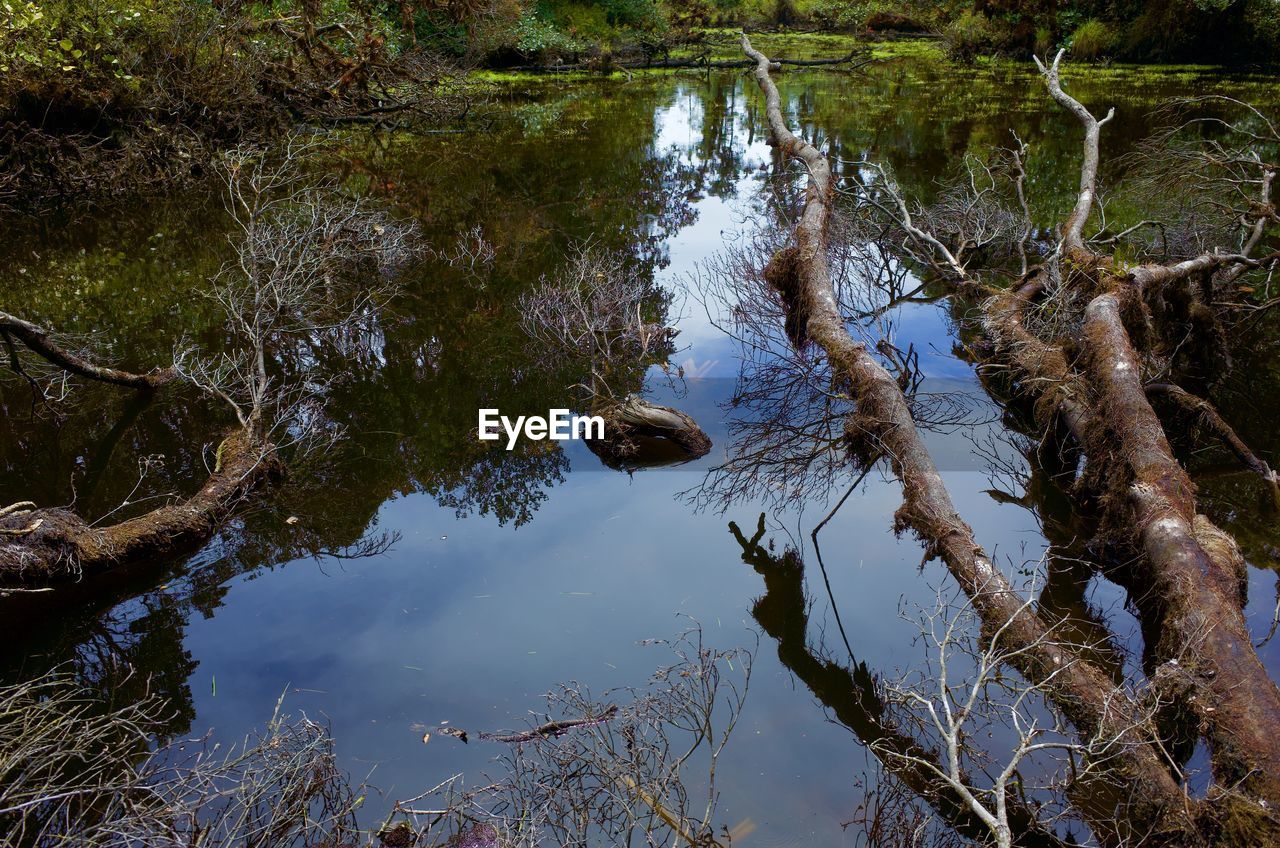 HIGH ANGLE VIEW OF A LAKE WITH REFLECTION