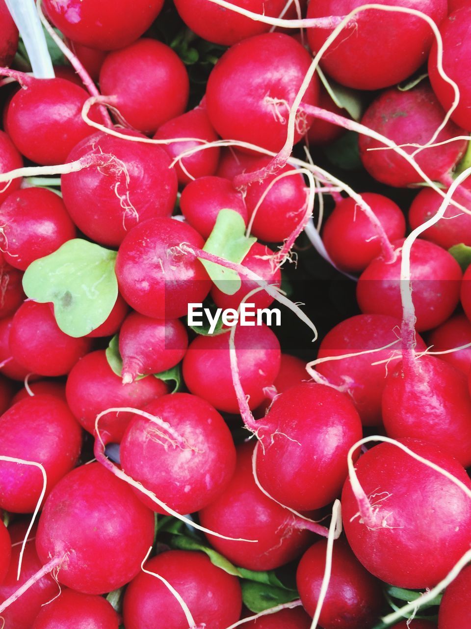 Full frame shot of radish in market for sale