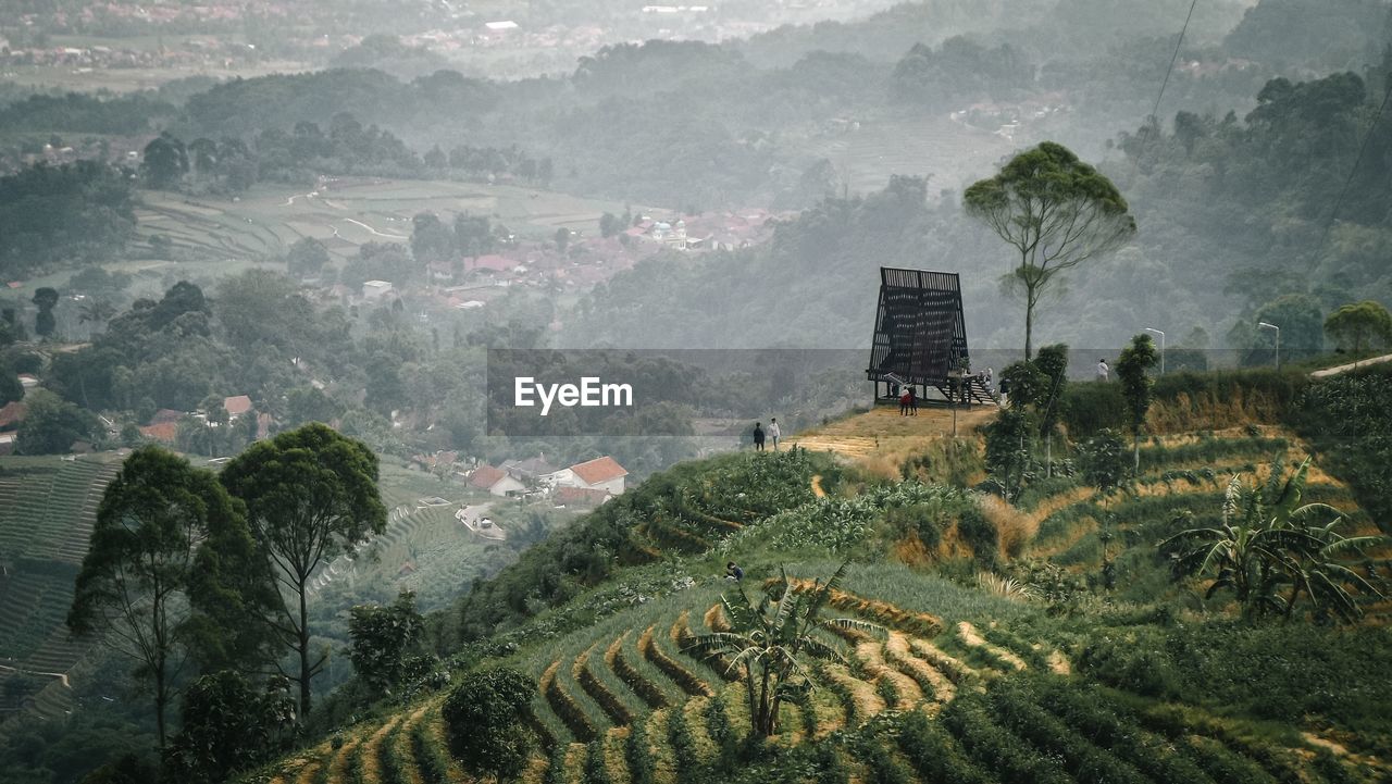 Scenic view of agricultural field