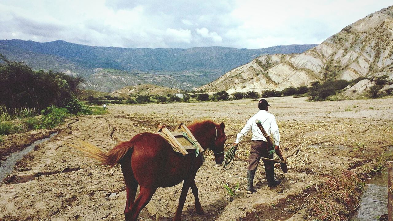 Man walking in field with his horse with mountains in background