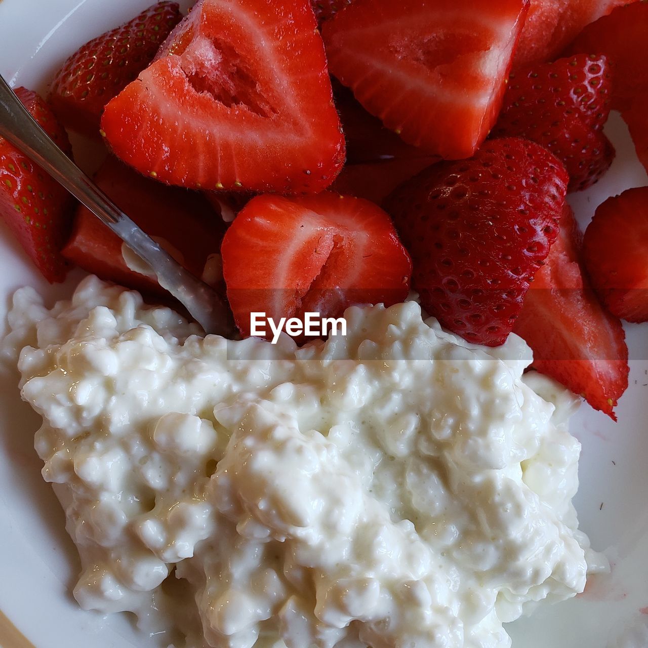 CLOSE-UP OF CHOPPED FRUITS IN BOWL