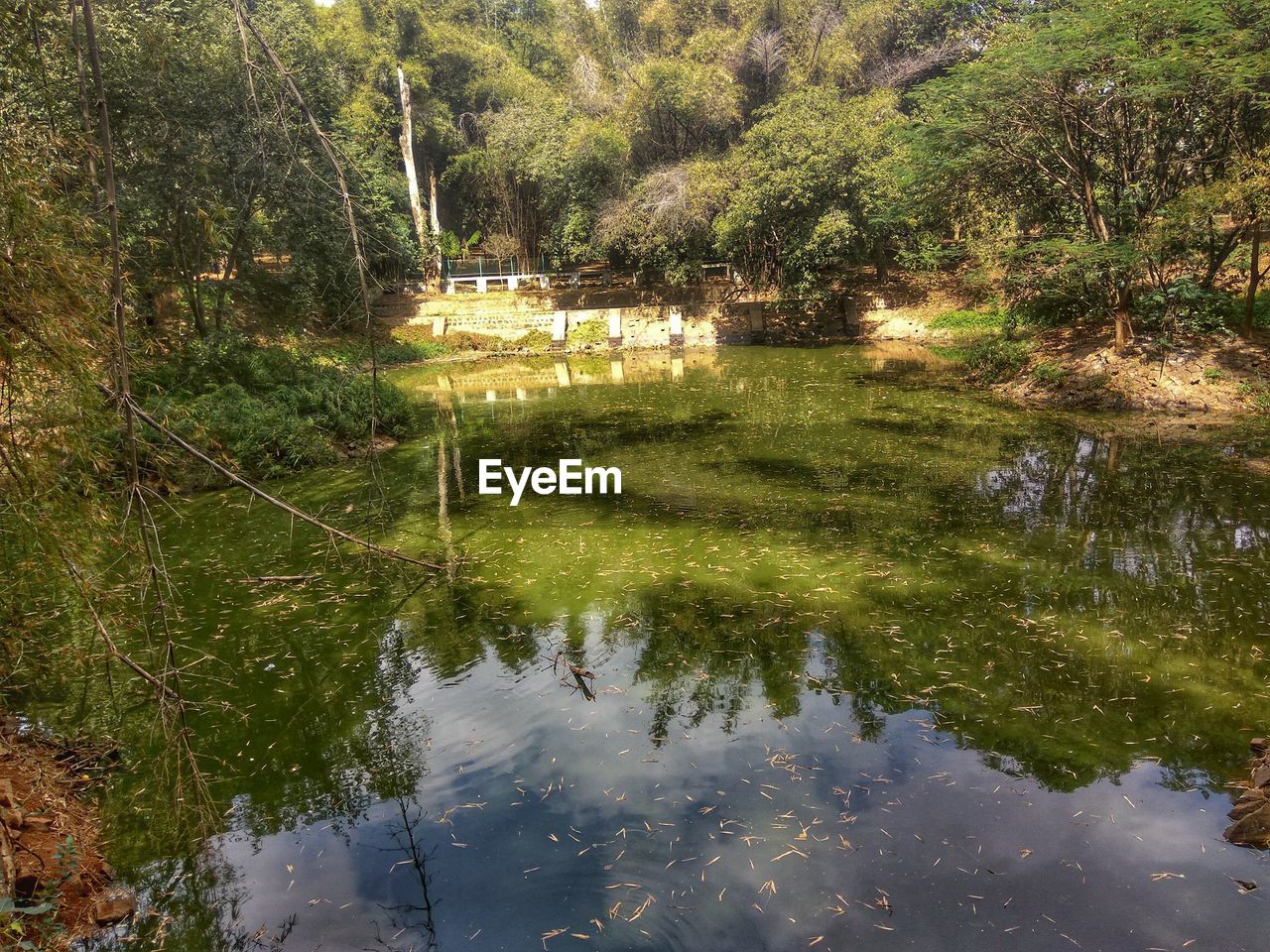 FULL FRAME SHOT OF LAKE WITH TREES IN FOREGROUND