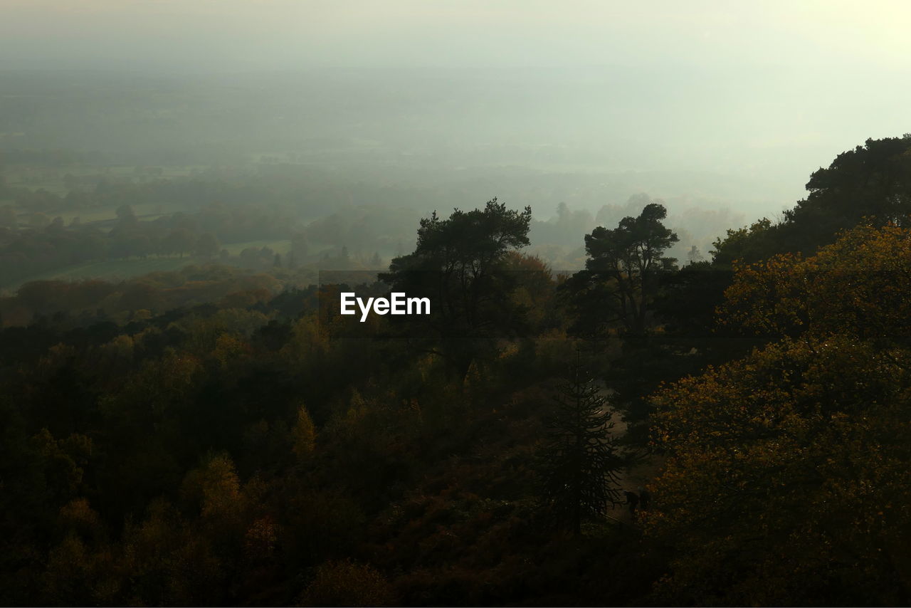 High angle view of trees on landscape against sky