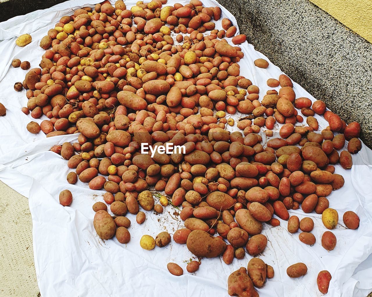 High angle view of fruits in container